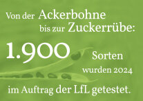 Grafik zur Zahl des Monats.